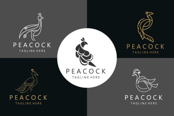 Download Peacock Logo with Line Art Concept - Concept Collection