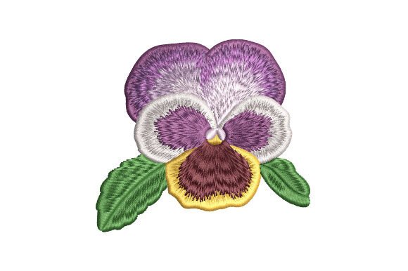 Download Pansy Flower Bud - Premium Resources