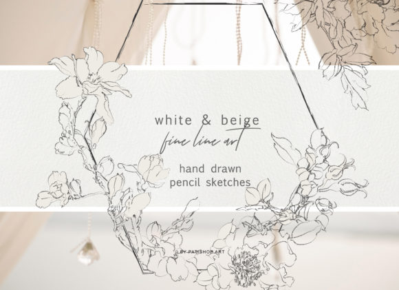 Download Pencil Sketched Fine Line Flowers - Line flowers Collection